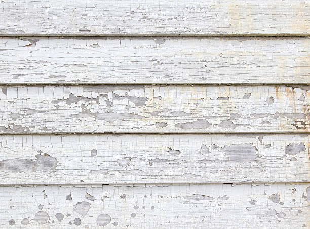 Best Stucco Siding  in Elmer, NJ